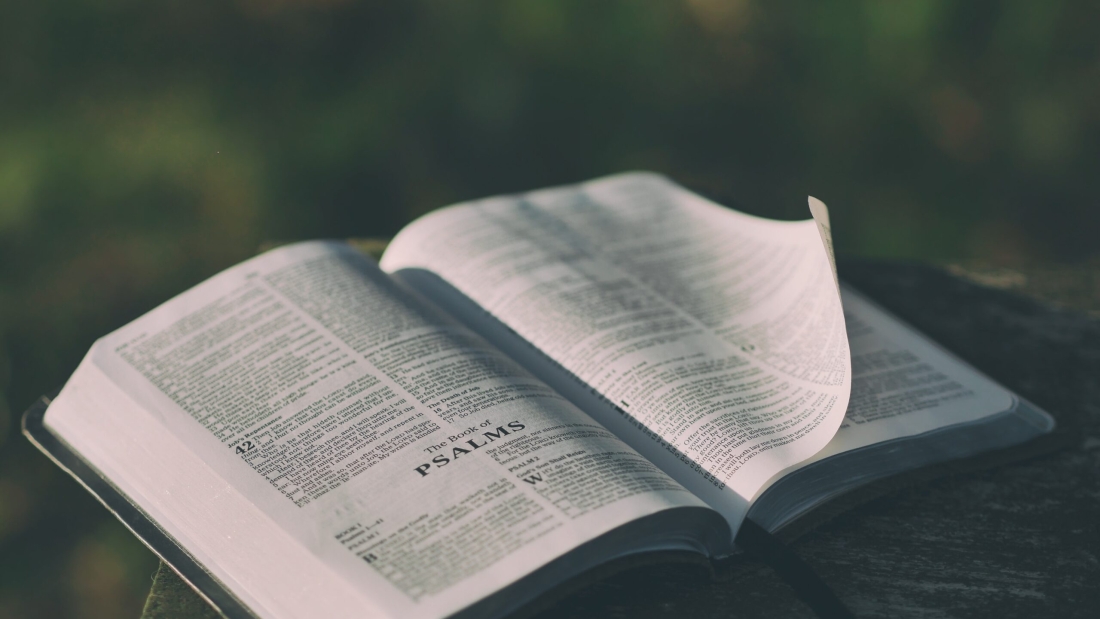 aaron-burden-c333d6YEhi0-unsplash