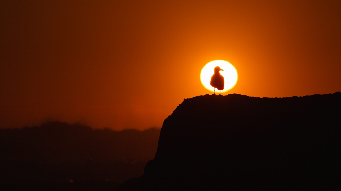 dave-XxPGM-u2ewA-unsplash
