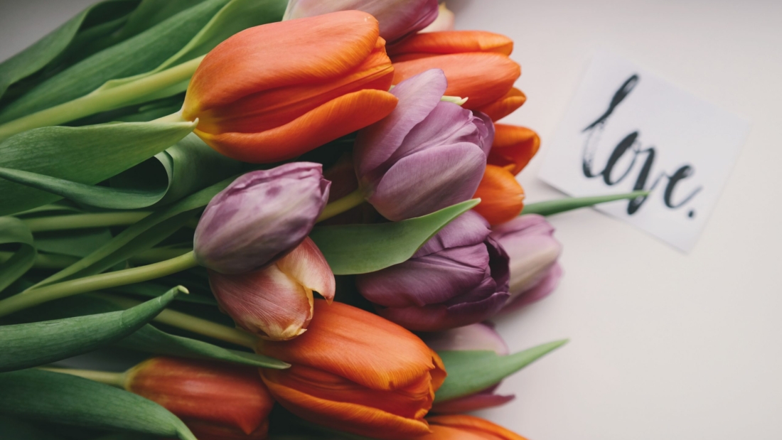 brigitte-tohm-5lvgkp_xix8-unsplash