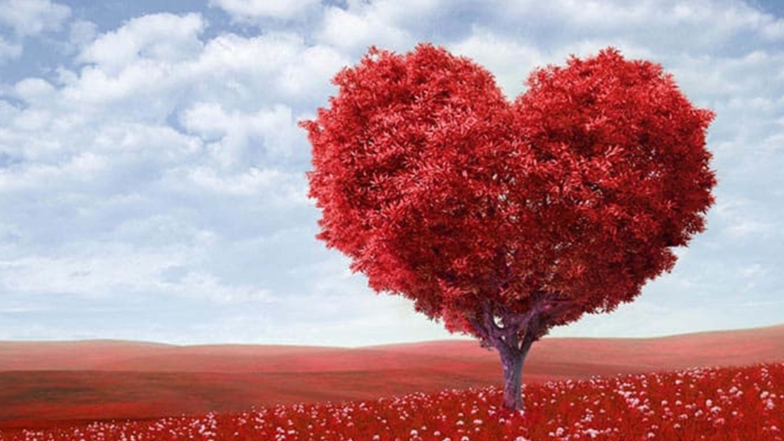 VALENTINE LOVE
