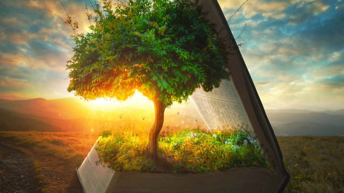 DISCIPLESHIP: PATH TO SPIRITUAL MATURITY