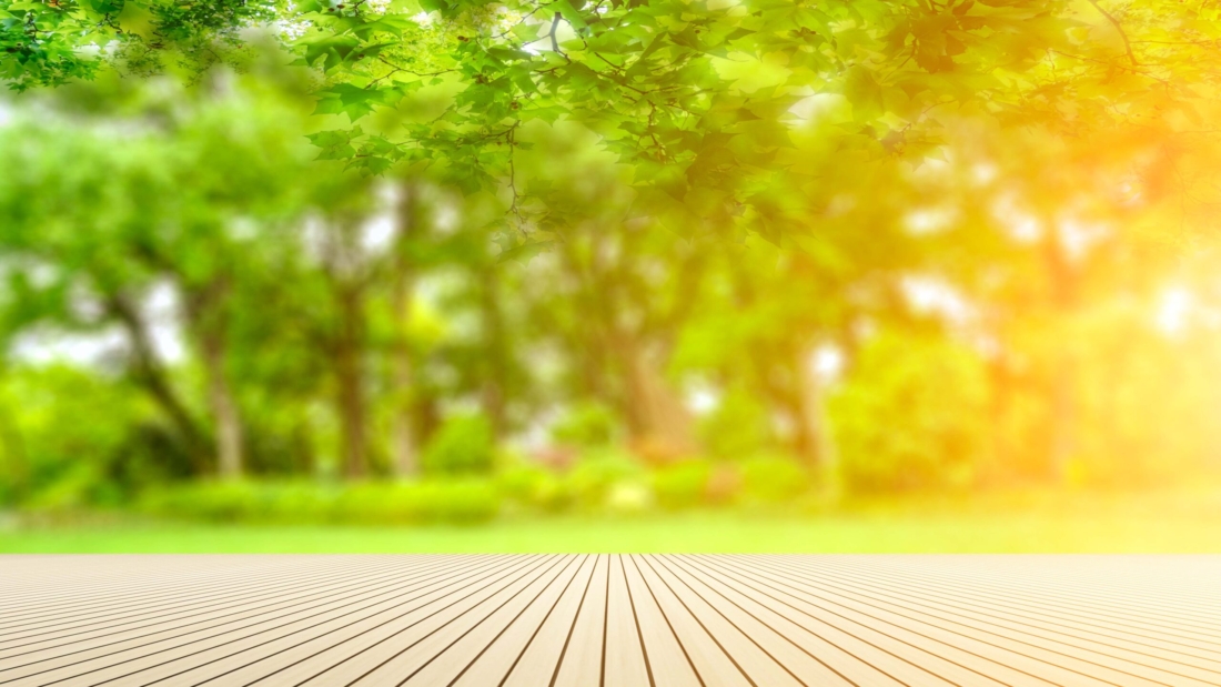 OUR YEAR OF SPRINGING FORTH